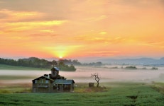 베스트갤러리 - 안성목장일출...