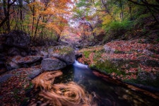 베스트갤러리 - 가을의 시간