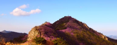 영취산슈퍼 식당 | 베스트갤러리 - 영취산