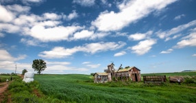 베스트갤러리 - 안성 농장에서