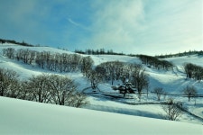 베스트갤러리 - 삼양목장 설경