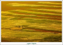 베스트갤러리 - 동심(童心)