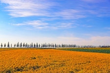 베스트갤러리 - 가을 들녁