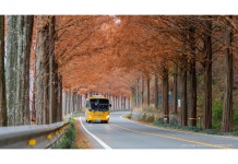 베스트갤러리 - 메타길