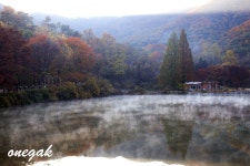 베스트갤러리 - 불장골 송곡지