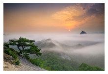 베스트갤러리 - 소나무가 있는 풍경..