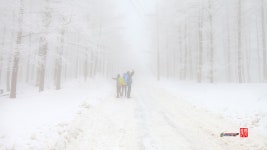 베스트갤러리 - 만항재 추억......