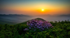 베스트갤러리 - 지리산.