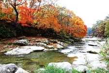 베스트갤러리 - 수타계곡