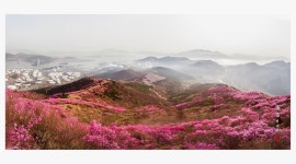 영취산슈퍼 식당 | 베스트갤러리 - 영취산