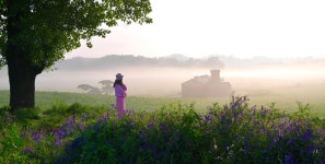 베스트갤러리 - 안성목장