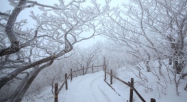 베스트갤러리 - 추억의 덕유산