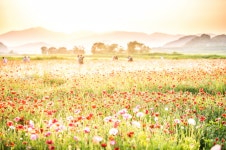 베스트갤러리 - 빛이 들어오면