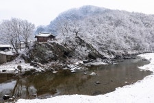 베스트갤러리 - 겨울 정자