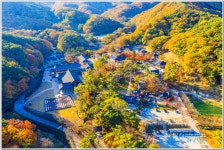 베스트갤러리 - 만추의직지사