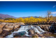 베스트갤러리 - 구례산동마을