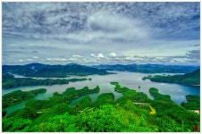 베스트갤러리 - 그곳엔 악어가 있었다_2020