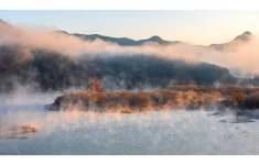 베스트갤러리 - 물안개