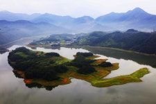 베스트갤러리 - 붕어섬