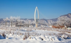 베스트갤러리 - 붕어섬 출렁다리