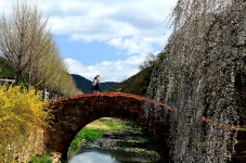 베스트갤러리 - 만년교