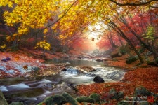 베스트갤러리 - 구천동의 가을