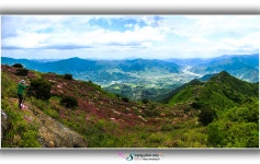 베스트갤러리 - 형제봉에서 바라본 악양