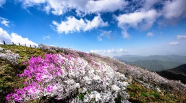 베스트갤러리 - 5월 덕유사랑.