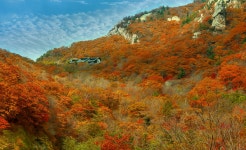 베스트갤러리 - 한계령 휴게소