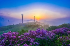 베스트갤러리 - 서광목장