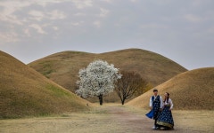 베스트갤러리 - 대릉원