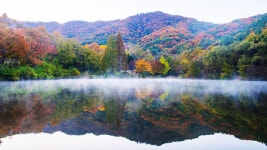 베스트갤러리 - 송곡지