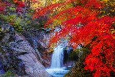 베스트갤러리 - 용소폭포