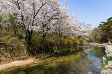 베스트갤러리 - 관악산을 가보니