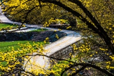 베스트갤러리 - 산수유 길