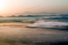 베스트갤러리 - 들녘의 아침