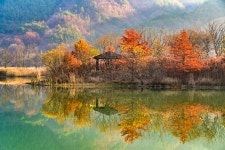 베스트갤러리 - 주천생태공원...