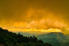 베스트갤러리 - 불타는