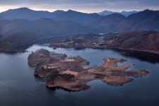 베스트갤러리 - 붕어섬.