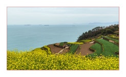 베스트갤러리 - 다랭이마을의 봄