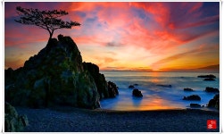 베스트갤러리 - 지경리일출(창고작)