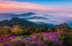 베스트갤러리 - 설악의 봄