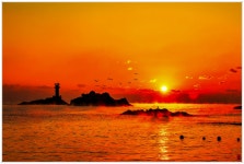 베스트갤러리 - 죽성에서~~~_2020