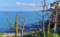 베스트갤러리 - 포항 영일만