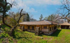 베스트갤러리 - 외암 마을에 고목