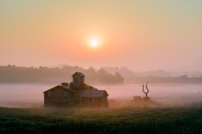 베스트갤러리 - 안성 목장