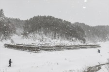 베스트갤러리 - 폭설속 황태덕장