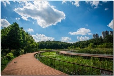 베스트갤러리 - 광교 호수공원