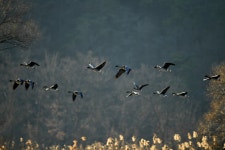 베스트갤러리 - 경안천에서