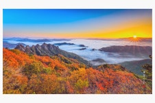 베스트갤러리 - 구봉산